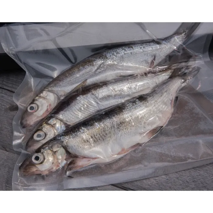 Patriot VAC-2 vaakumpakendaja